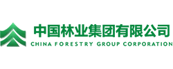 Partners 06